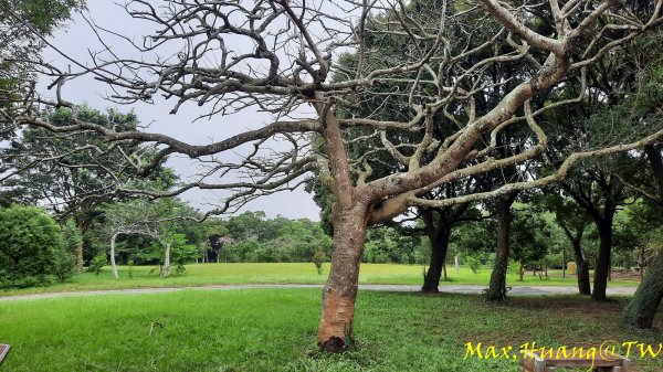 《台中》雙園連走｜東大公園連走都會公園202310072306005