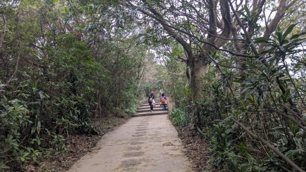 劍潭山親山步道2676452