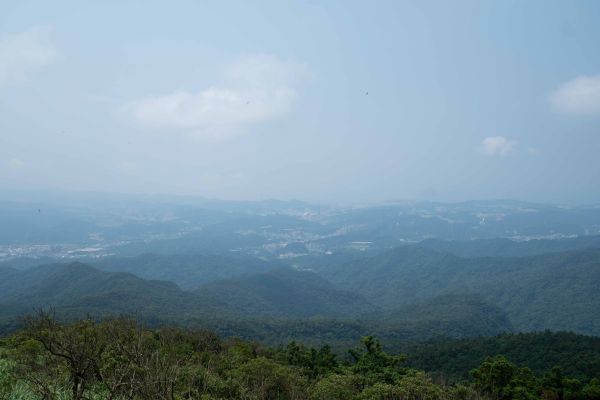 姜子寮山步道360460