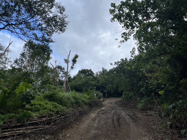 2024_1020 貴子坑親山步道2634243