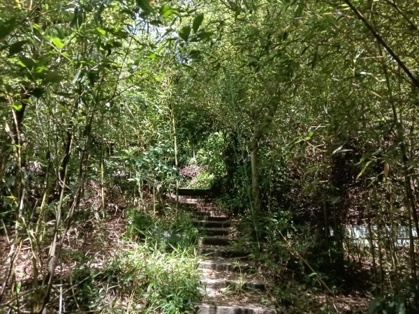 基隆市金交椅山+金交椅南峰+紅淡山東北峰、北北峰、北峰+紅淡山+厲翼嶺出三坑車站2903188