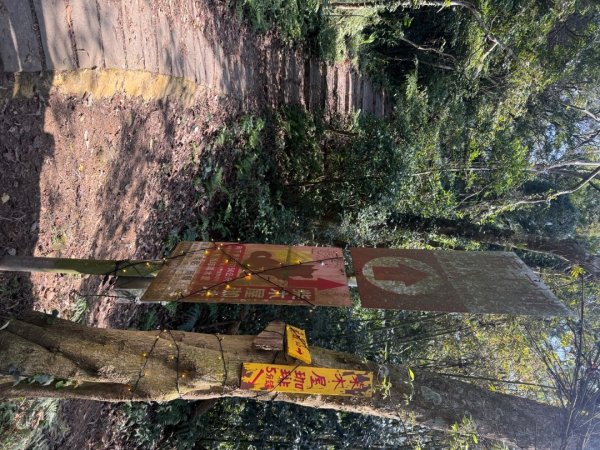 20260221 飛沙新路3003416