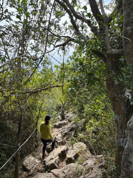 龍麟山步道（王爺崙2703653