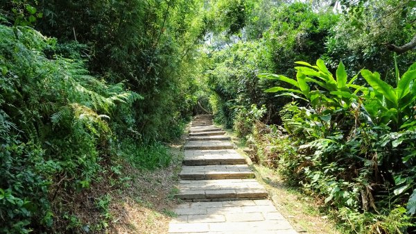 豹山溪,獅山溪,永春崗1769896