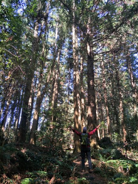 2018 02 17 二本松山268308