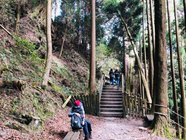 1090122檜山巨木群步道815610