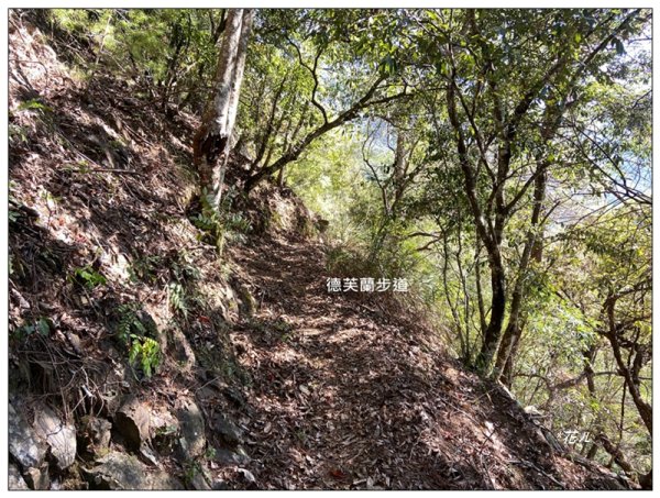 東卯山、東卯山西峰、東卯山西南峰 連走2932829