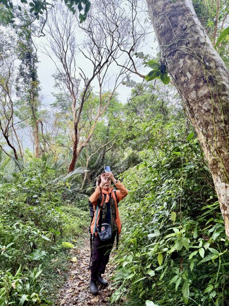 雙流帽子山悠遊  2025.01.032688554