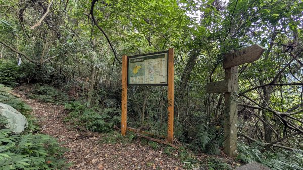 115.04.11啦卡步道-大刀山之旅3034635