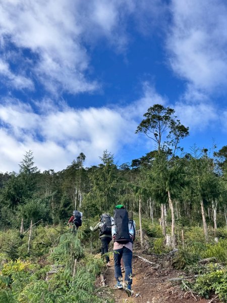 2025.11.30 西巒大山2952295