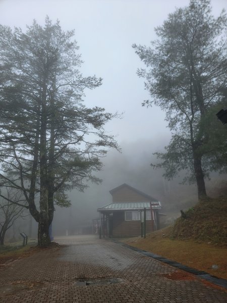 20260301鹿林山麟趾山3013006