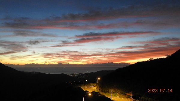 雲山水花鳥蝶 - 天龍國阿伯的日常，沒鳥也沒蝶槓龜 7/14&172217410