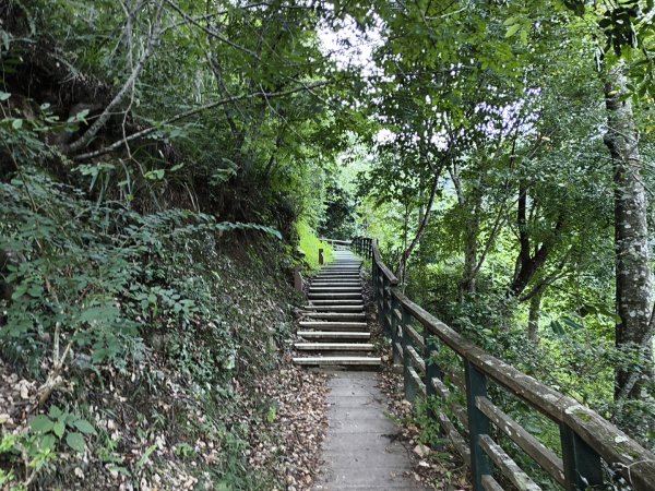 [玉山尋寶任務-07/12] 2025_0824 八通關雲龍瀑布步道2870400