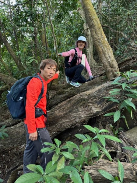 田良井山六連峰(屏東三地門) 探勘初體驗2025年3月9日2731527