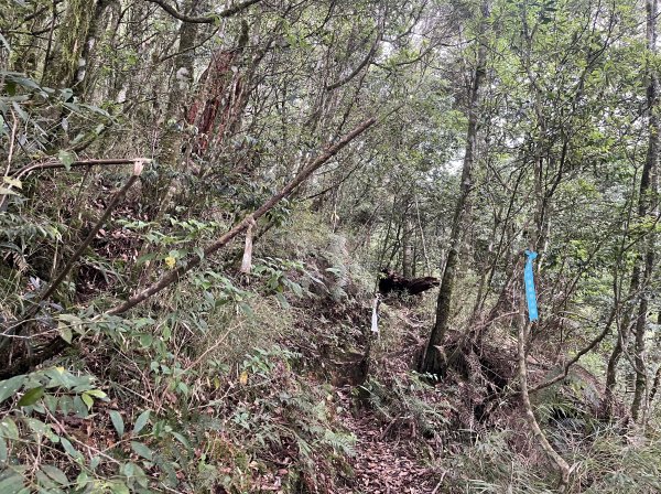 2025_0622 霞喀羅大山2819216