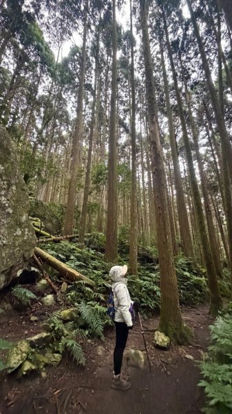 加里山 2025 12/282971681