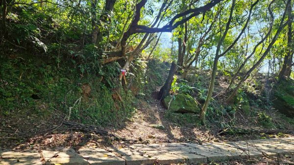 20260214五林縱走3000130