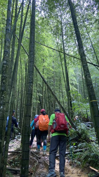 精彩的水社大山行|白石山土地公廟|Great Mt. Shuishe|쉐이써따신|峯花雪月2263862