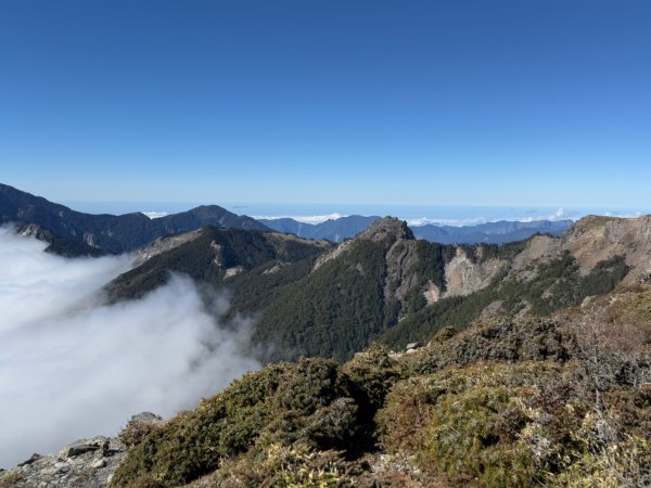 20250104-05 向陽縱走魔保來溪頭山出關山嶺山2683512