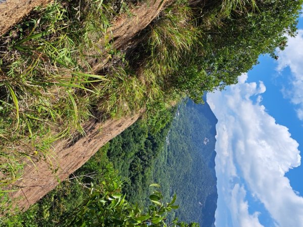 2026微笑山線平溪小黃山段3103448