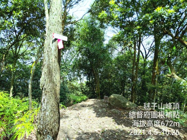 [新竹橫山]田薯縱走...田寮山+毬子山+水頭排山+鎮石山+薯園山1337280