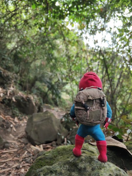 2023.12.23 崁頭山2833301