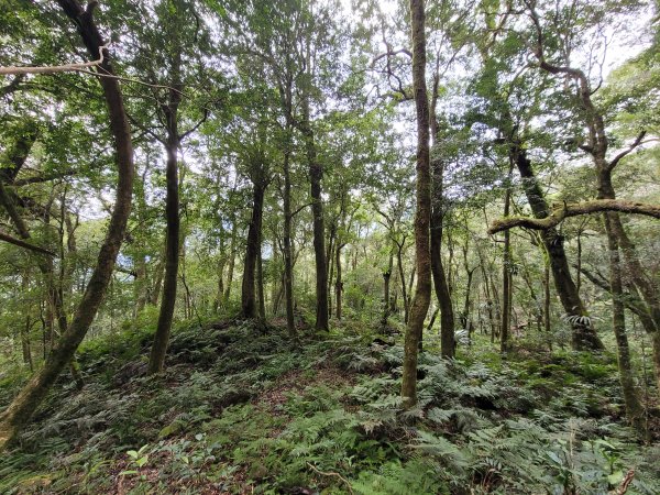 福巴越嶺國家步道2364493