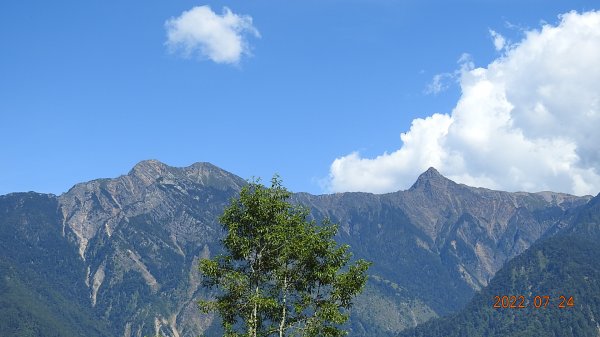 最高小百岳-大塔山2663M&阿里山二延平步道1775114