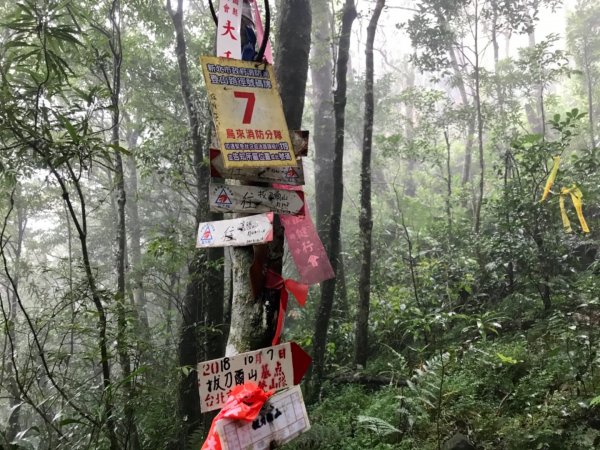 雨後泥灘路上美鹿拔刀爾山460670