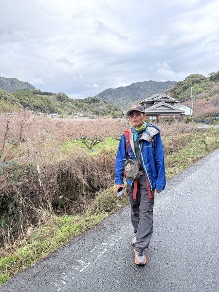 熊野古道中邊路D1 紀伊田邊、潮見峠O繞 2025.3.162744368