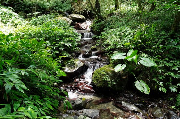 宜蘭 礁溪 三角崙山2548288