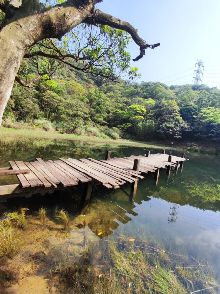 新山夢湖-友蚋山-友蚋南峰-五指山古道2755383