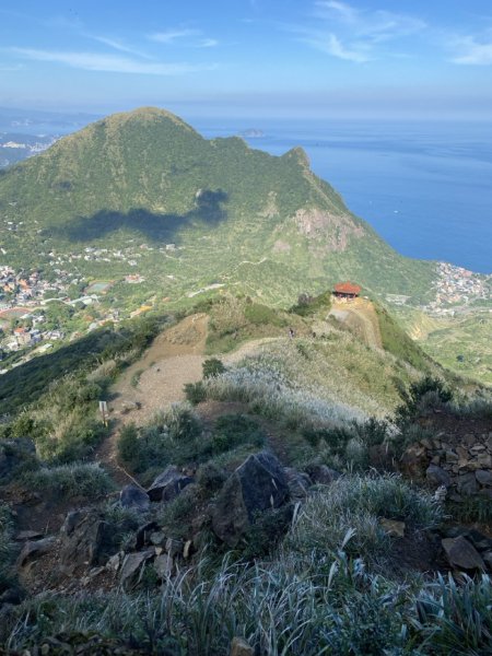 2023/11/23 茶壺山 半平山 燦光寮山 O繞2389146