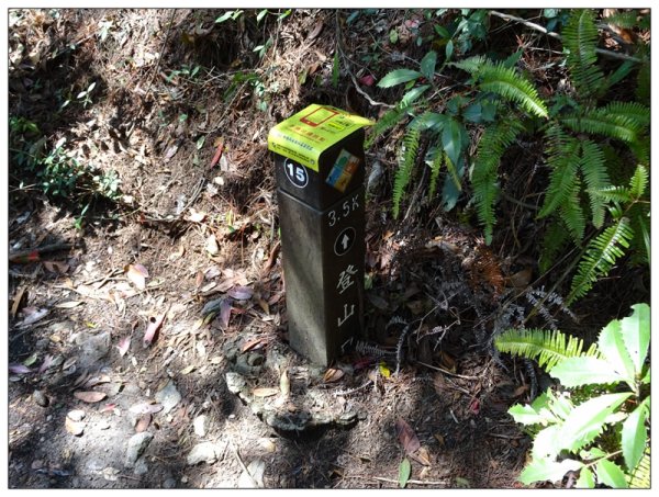 東卯山、東卯山西峰、東卯山西南峰 連走2932804