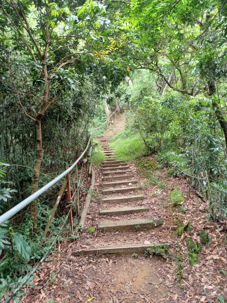 【台中北屯】南觀音山步道2933198