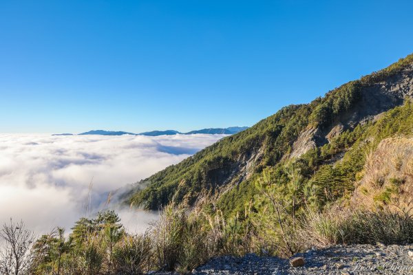 [百岳]南橫三星與關山2025750