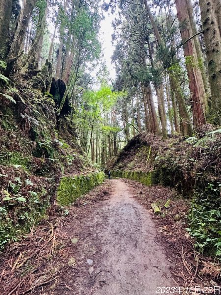 特富野古道2846015