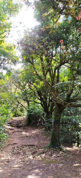 臺北大縱走第二段（1）1307710