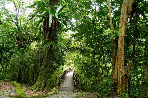 新北 烏來 志良久山3035167