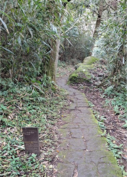 台北大縱走第一段1249203