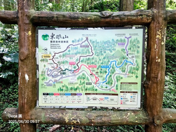 桃園小百岳東眼山(H1212m)2844618