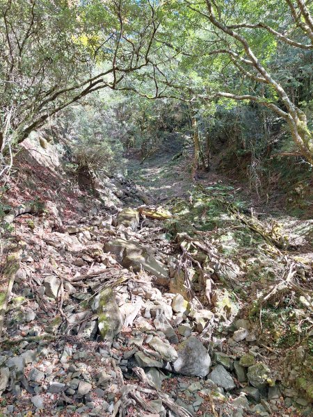 石山引水道202512112959560