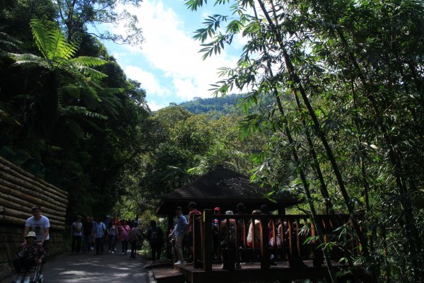 烏來內洞森林遊樂區 20181021444474