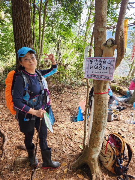 112/2/11芝生毛台山、屯野生炮台2148093