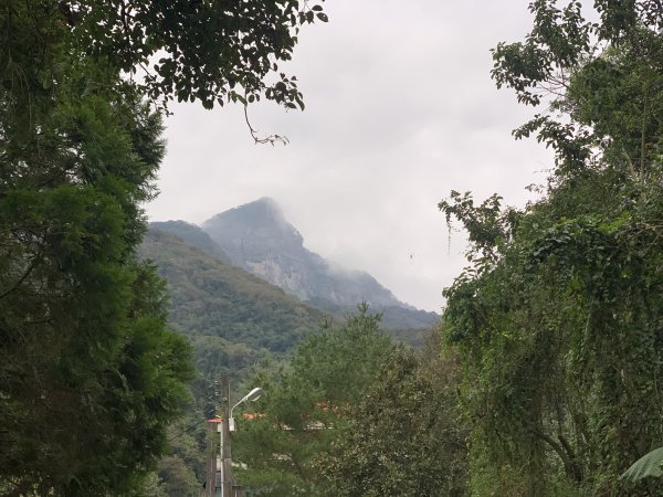 【中級山】明知山沒虎，偏向虎山行2441972