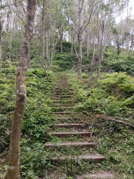枕頭山-枕頭山西峰2733953