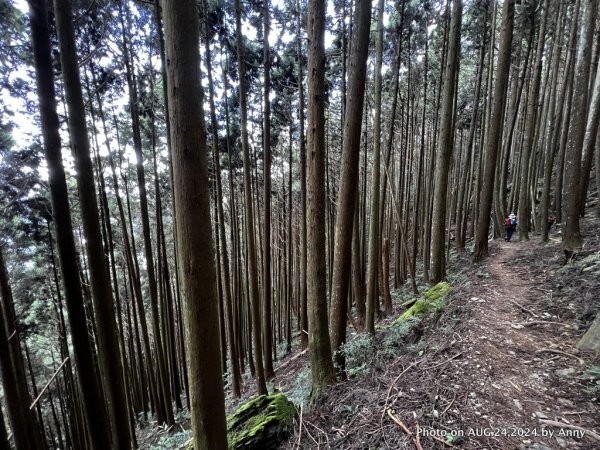 民都有山就是漂亮的夏天冷氣房2582243