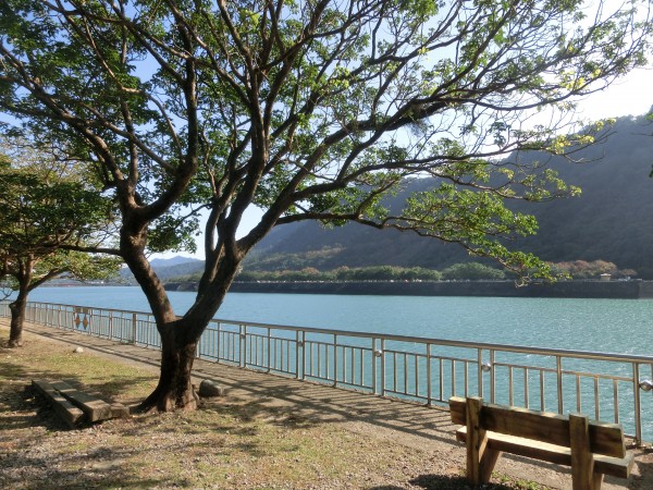 槭林公園．石門水庫．南苑園區237334