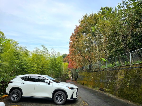 馬那邦山之雲海／雲瀑／楓紅／太陽琉璃光2676338