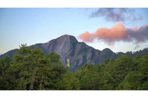 大小劍-油婆蘭全紀錄2674193